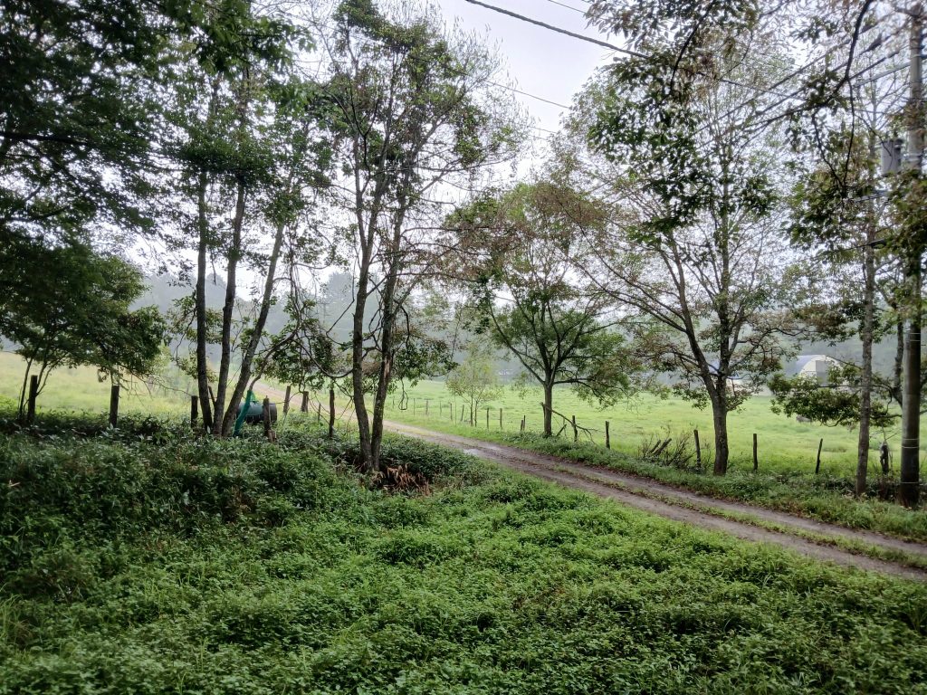 窓から眺める牧草地